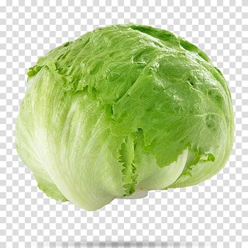 Green cabbage, Iceberg lettuce Stuffing Salad Vegetable Cabbage, lettuce transparent background PNG clipart