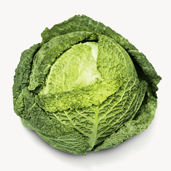 Green cabbage, isolated vegetable image | Free Photo - rawpixel