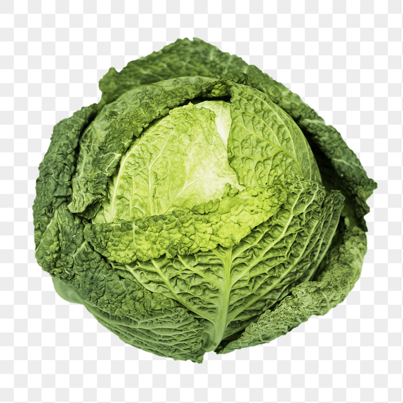 Green cabbage png sticker, transparent | Free PNG - rawpixel