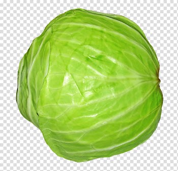 Green cabbage, Spring greens Red cabbage Vegetable, Cabbage transparent background PNG clipart