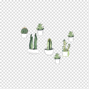 Green cacti illustration, Cactaceae Watercolor painting Succulent plant Drawing Prickly pear, Hand drawn prickly pear cactus and other plants transparent background PNG clipart