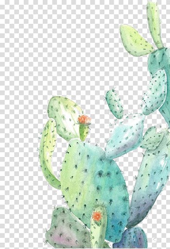 Green cactus illustration, Cactaceae Watercolor painting Illustration, Watercolor cactus transparent background PNG clipart