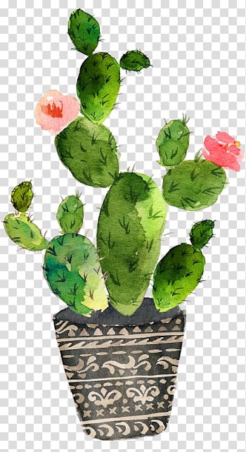 Green cactus painting, Cactaceae Watercolor painting Prickly pear Art, painting transparent background PNG clipart