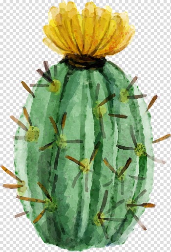 Green cactus painting, Cactaceae Watercolor painting Succulent plant, Watercolor painted fleshy cactus transparent background PNG clipart