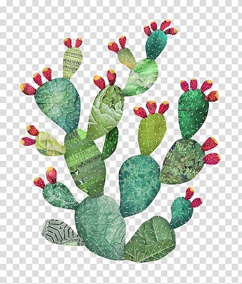 Green cactus plant art, Cactaceae Watercolor painting Art Illustration, Watercolor cactus transparent background PNG clipart