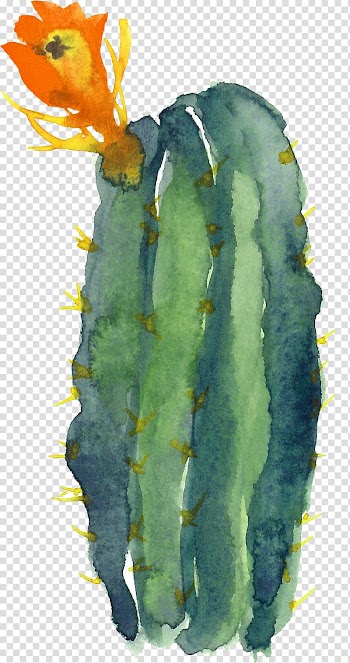 Green cactus plant illustration, Cactaceae Modern Watercolor: A Playful and Contemporary Exploration of Watercolor Painting, cactus transparent background PNG clipart