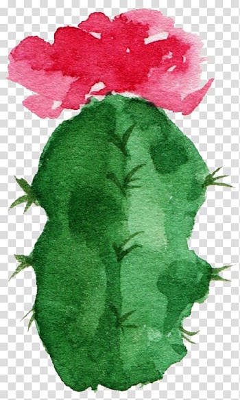 Green cactus plant painting, Paper Cactaceae Watercolor painting Succulent plant, Sen Department aesthetic cactus transparent background PNG clipart