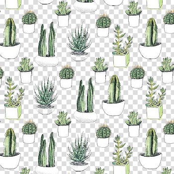 Green cactus plants on white pot , Cactaceae Watercolor painting Printmaking Printing , Hand painted cactus transparent background PNG clipart