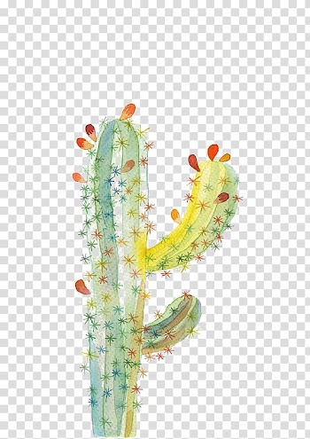 Green cactus , UGallery Cactaceae Drawing Watercolor painting, cactus transparent background PNG clipart