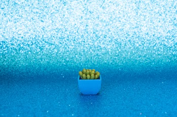 Green Cactus With Vase