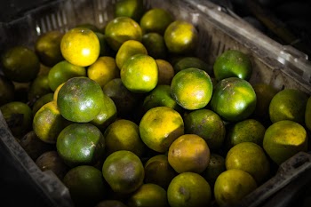 Green Calamansi Fruit