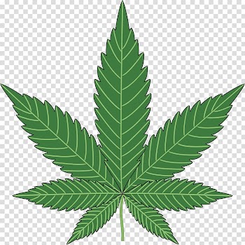 Green cannabis leaf t, Cannabis sativa Cannabis ruderalis Butterfly weed Marijuana, Cannabis transparent background PNG clipart