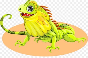 green cartoon lizard reptile iguana
