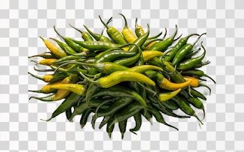 green chilli