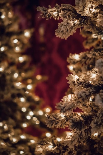 Green Christmas Tree