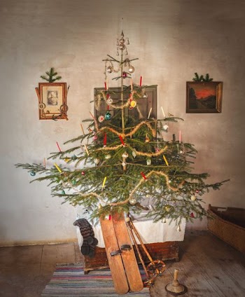 green Christmas tree and pair of brown snow skis