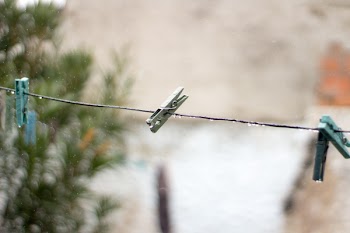 Green Cloth Clip