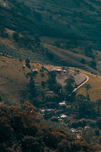 Green Coated Hill