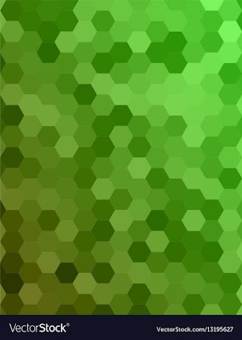 Green color hexagonal honey comb background vector image