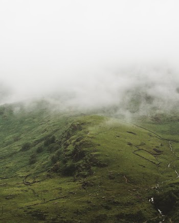 Green Covered Hill