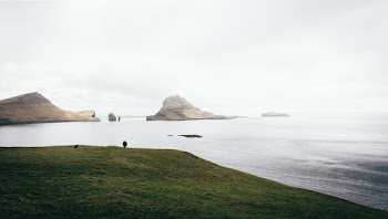 Green Covered Land Beside Body of Water
