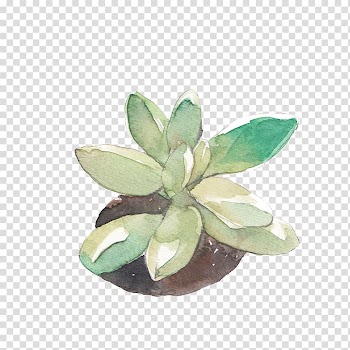 Green crystal illustration, Watercolour Flowers Watercolor: Flowers Watercolor painting Drawing, Fleshy baby transparent background PNG clipart