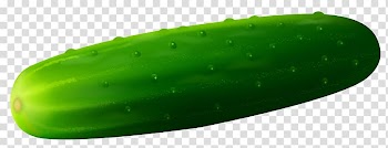Green cucumber, Cucumber Hamburger Vegetable , Cucamber transparent background PNG clipart