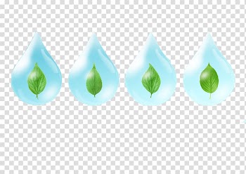 Green Drop Leaf, Drops leaves transparent background PNG clipart