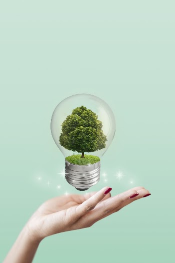 Green energy background, tree in light | Free Photo - rawpixel