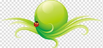 Green Euclidean Vecteur, Leaf insect transparent background PNG clipart