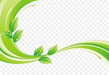 Green Euclidean vector Royalty-free - Green leaf with decorative lines 
