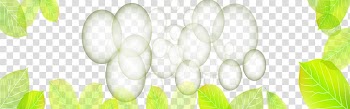 Green , Fantastic fresh banner creatives transparent background PNG clipart