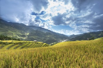 Green Farm Field On Mountain Slope