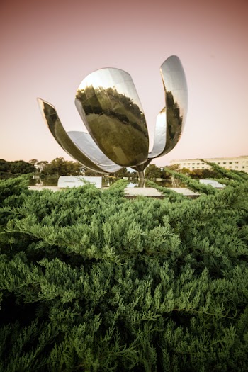 Green Fern Plant Near Gray Flower Monument
