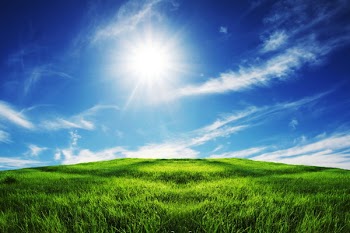 Green field
