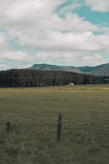 Green Field