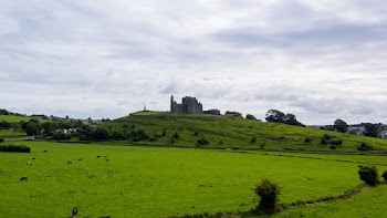 Green Field