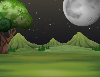 Green field at night time background Free Vector