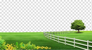 Green field illustration, Poster Computer file, Grassland fence tree background material transparent background PNG clipart