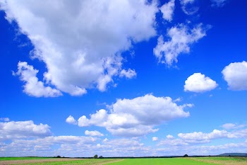Green field - Landscape green grass, blue sky and  white clouds