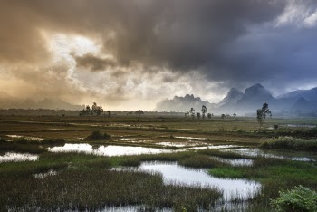 Green Field Under Black Cloud