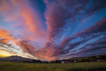 Green Field Under Red and Blue Sky