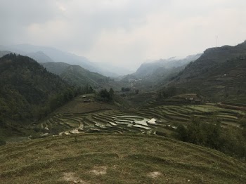 Green Field Under White Clouds