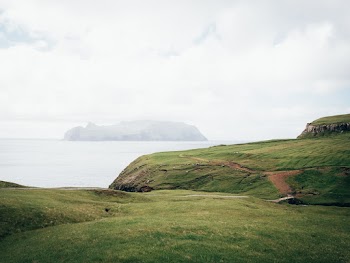 Green Fields