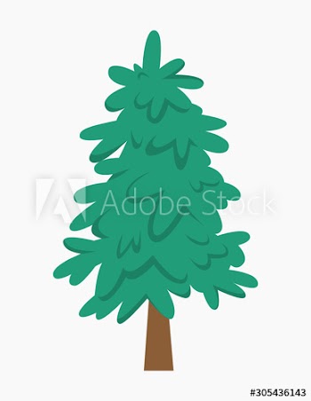 Green fir for christmas and new year celebration