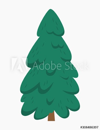 Green fir for christmas and new year celebration
