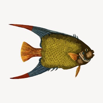 Green fish clipart, vintage illustration | Free Vector - rawpixel