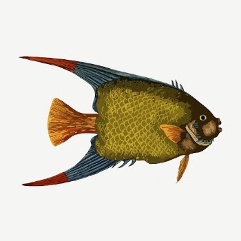 Green fish collage element, vintage | Free PSD - rawpixel