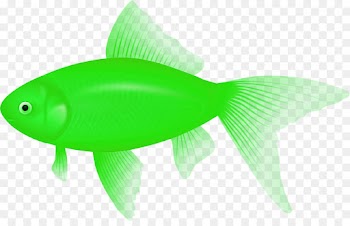 green fish fin fish tail