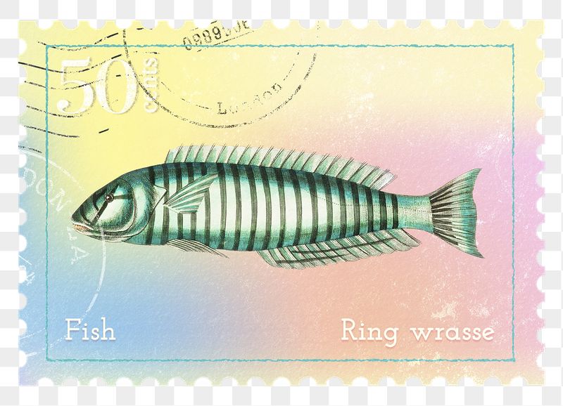 Green fish png post stamp | Free PNG - rawpixel